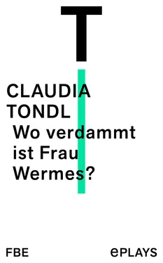 Claudia Tondl Wo verdammt ist Frau Wermes? обложка книги