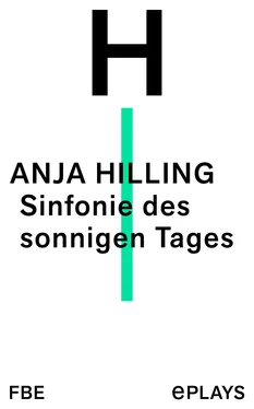 Anja Hilling Sinfonie des sonnigen Tages обложка книги