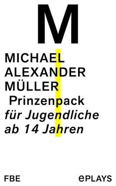 Michael Alexander Müller Prinzenpack обложка книги