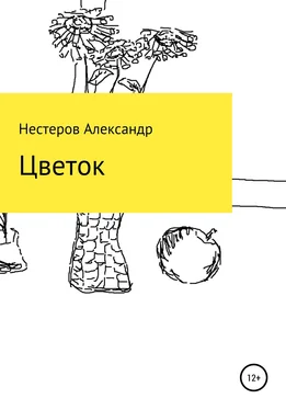 Александр Нестеров Цветок обложка книги