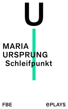 Maria Ursprung Schleifpunkt обложка книги
