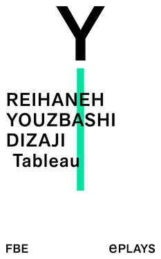 Reihaneh Youzbashi Dizaji Tableau обложка книги