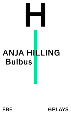 Anja Hilling Bulbus обложка книги