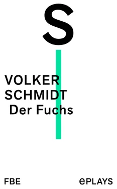 Volker Schmidt Der Fuchs обложка книги