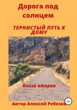 Алексей Ребезов Дорога под солнцем. Книга вторая. Тернистый путь к дому обложка книги