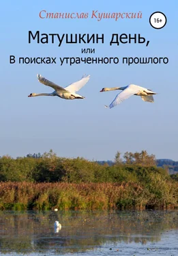 Станислав Кушарский Матушкин день, или В поисках утраченного прошлого обложка книги