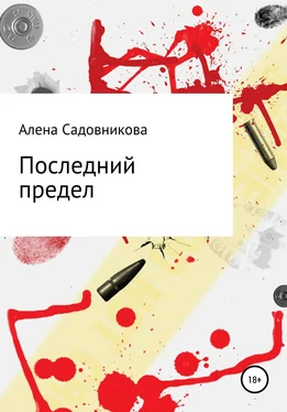 Алена Садовникова Последний предел обложка книги