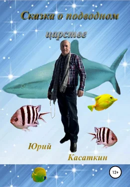 Юрий Касаткин Сказка о подводном царстве обложка книги