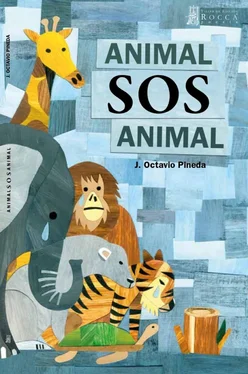 Octavio Pineda Animal SOS Animal обложка книги