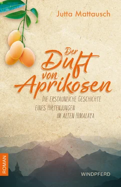 Jutta Mattausch Der Duft der Aprikosen обложка книги