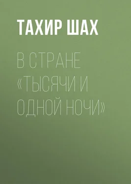 Тахир Шах В стране «Тысячи и одной ночи» обложка книги