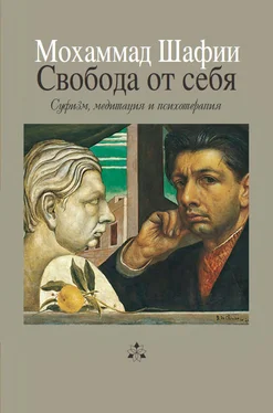 Мухаммед Шафии Свобода от себя обложка книги