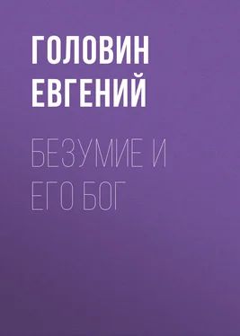 Головин Евгений Безумие и его Бог обложка книги