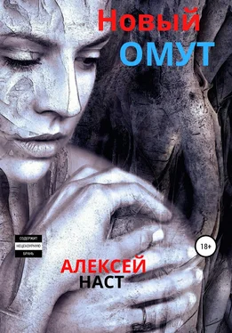 Алексей Наст Новый омут обложка книги