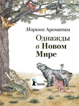 Марина Аромштам Однажды в Новом Мире обложка книги