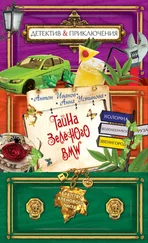 Анна Устинова - Тайна зеленого BMW