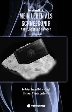 Reinhard Lutz Mein Leben als Schneekönig обложка книги