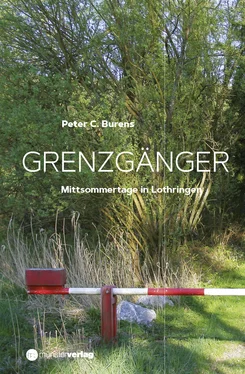 Peter C. Burens Grenzgänger обложка книги
