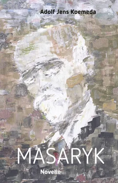 Adolf Jens Koemeda Masaryk обложка книги