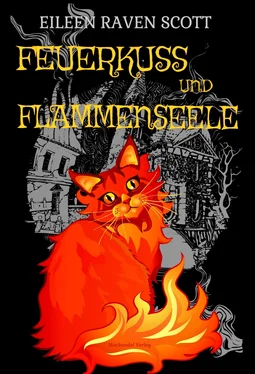 Eileen Raven Scott Feuerkuss und Flammenseele обложка книги