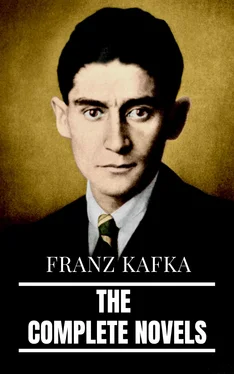 Array RMB Franz Kafka: The Complete Novels обложка книги