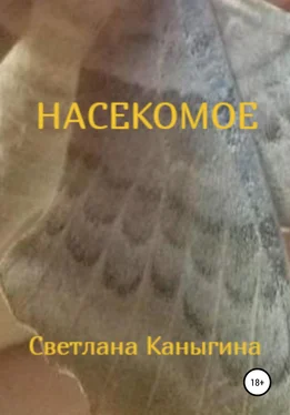 Светлана Каныгина Насекомое обложка книги