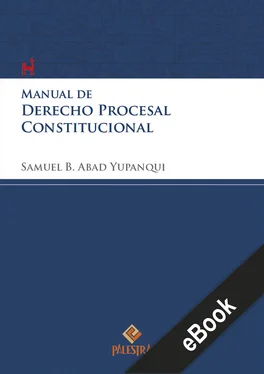 Samuel Abad-Yupanqui Manual de derecho procesal constitucional обложка книги