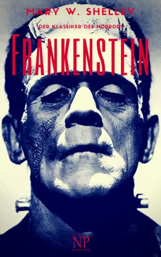 Mary Wollstonecraft Shelley Frankenstein обложка книги