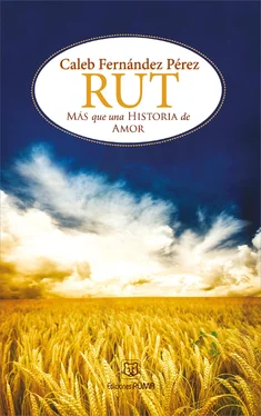 Caleb Fernández Pérez Rut обложка книги