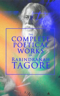 Rabindranath Tagore The Complete Poetical Works of Rabindranath Tagore обложка книги
