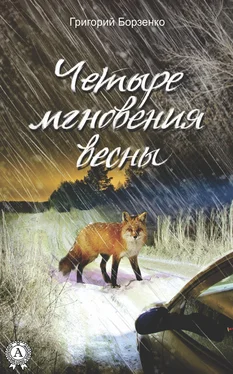 Григорий Борзенко Четыре мгновения весны обложка книги