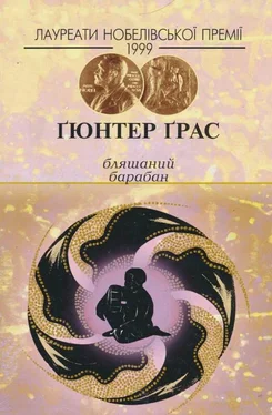 Ґюнтер Ґрас Бляшаний барабан обложка книги