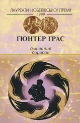 Ґюнтер Ґрас - Бляшаний барабан