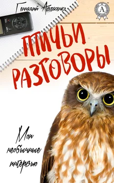 Геннадий Авласенко Птичьи разговоры обложка книги