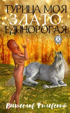 Вышеслав Филевский Турица моя злато-единорогая обложка книги