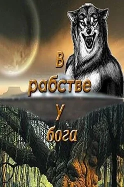 Михаил Ишков В рабстве у бога обложка книги