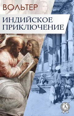 Франсуа-Мари Аруэ Вольтер Индийское приключение обложка книги