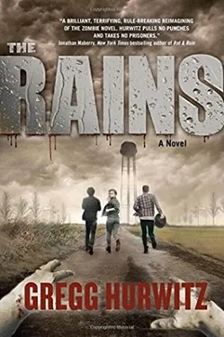 Gregg Hurwitz The Rains