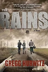 Gregg Hurwitz - The Rains