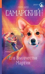 Михаил Самарский - Его Высочество Мартин