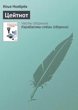 Илья Ноябрёв Цейтнот обложка книги
