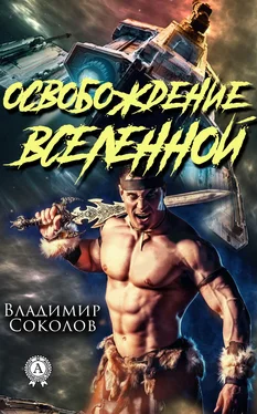 Владимир Соколов Освобождение вселенной обложка книги