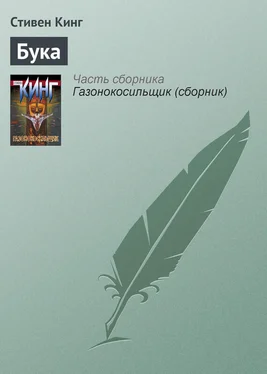 Стивен Кинг Бука обложка книги