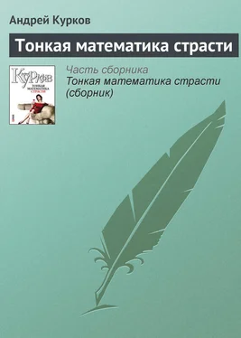 Андрей Курков Тонкая математика страсти обложка книги