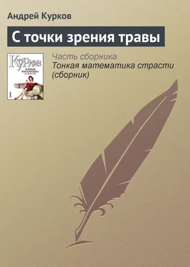 Андрей Курков С точки зрения травы обложка книги