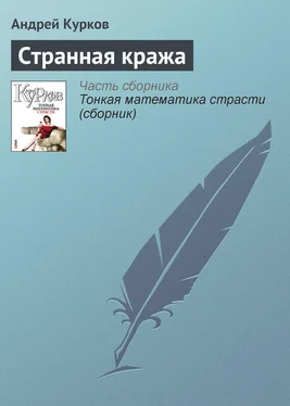 Андрей Курков Странная кража обложка книги