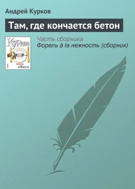 Андрей Курков Там, где кончается бетон обложка книги