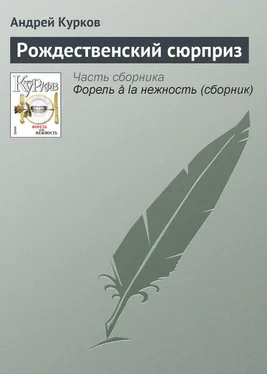 Андрей Курков Рождественский сюрприз обложка книги