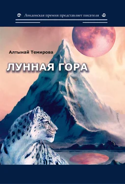Алтынай Темирова Лунная гора обложка книги