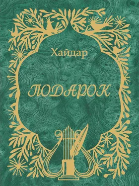 Хайдар Бедретдинов Подарок обложка книги